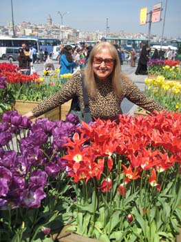 tulips